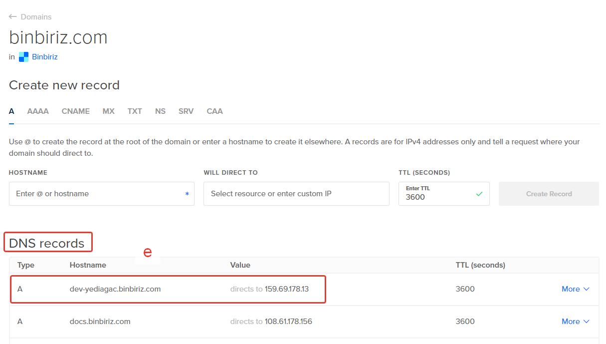 Digital Ocean Networking DNS Management