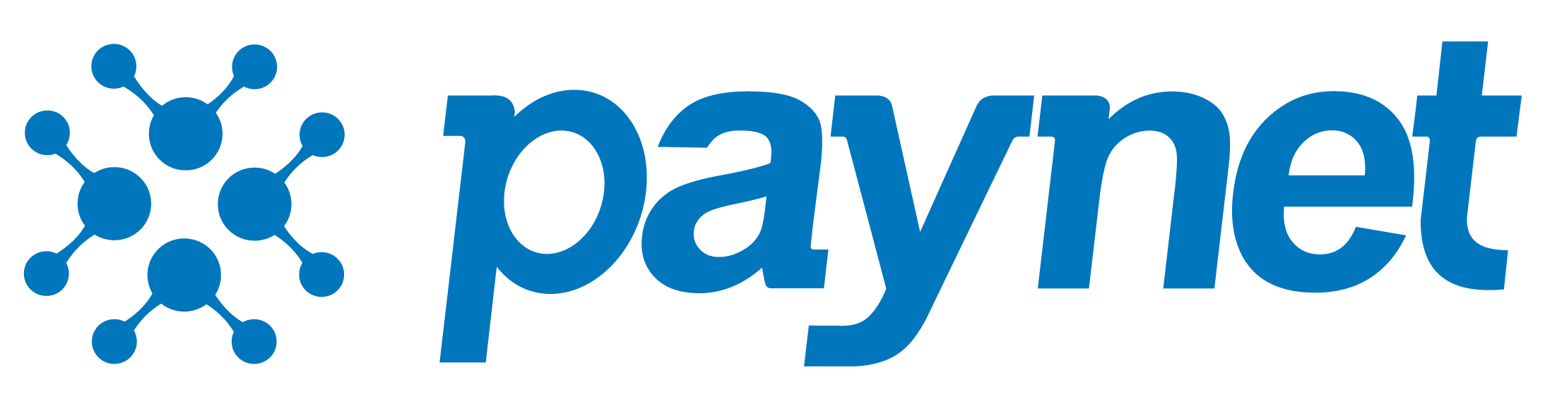 Paynet Logo