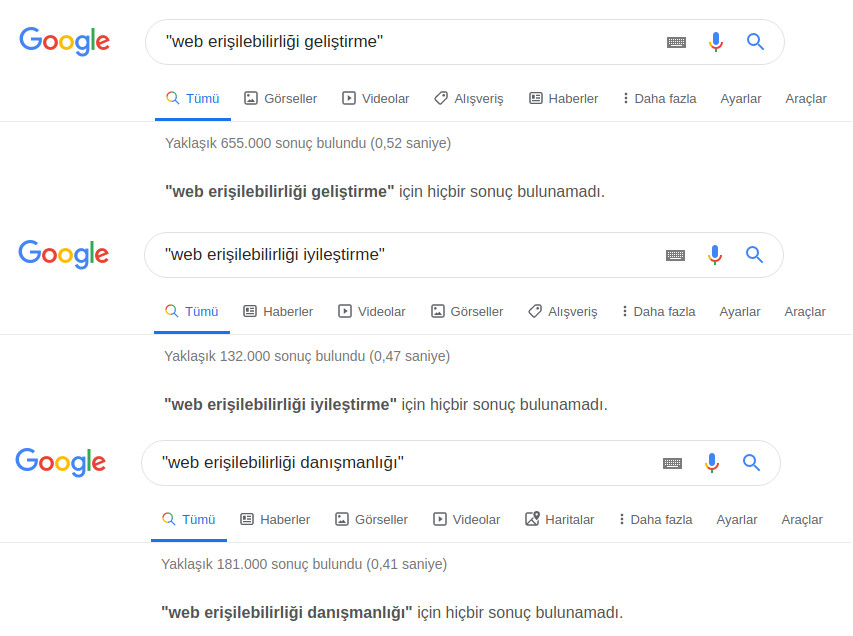 Web Erişilebilirliği Hizmetleri Google Araması